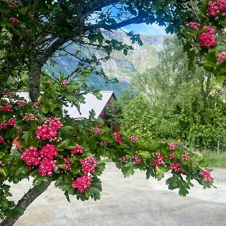 Flam Retreat Aurland