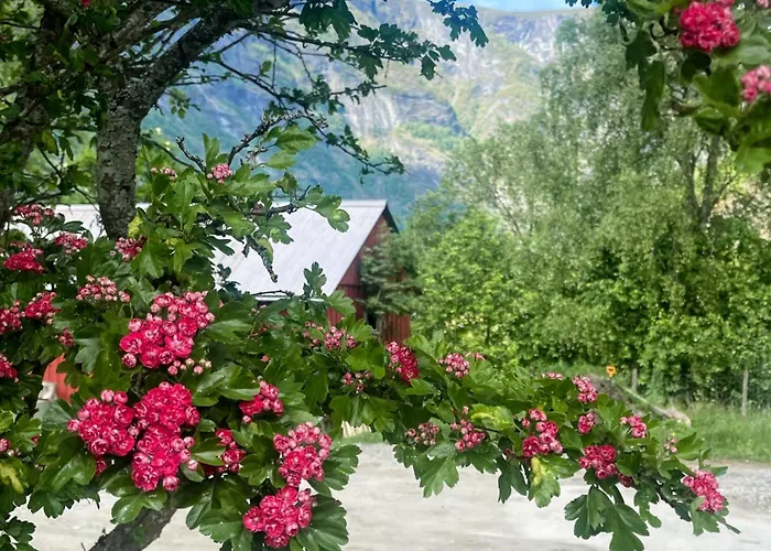 Flam Retreat Aurland