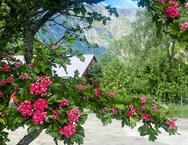 Flam Retreat Lodge *